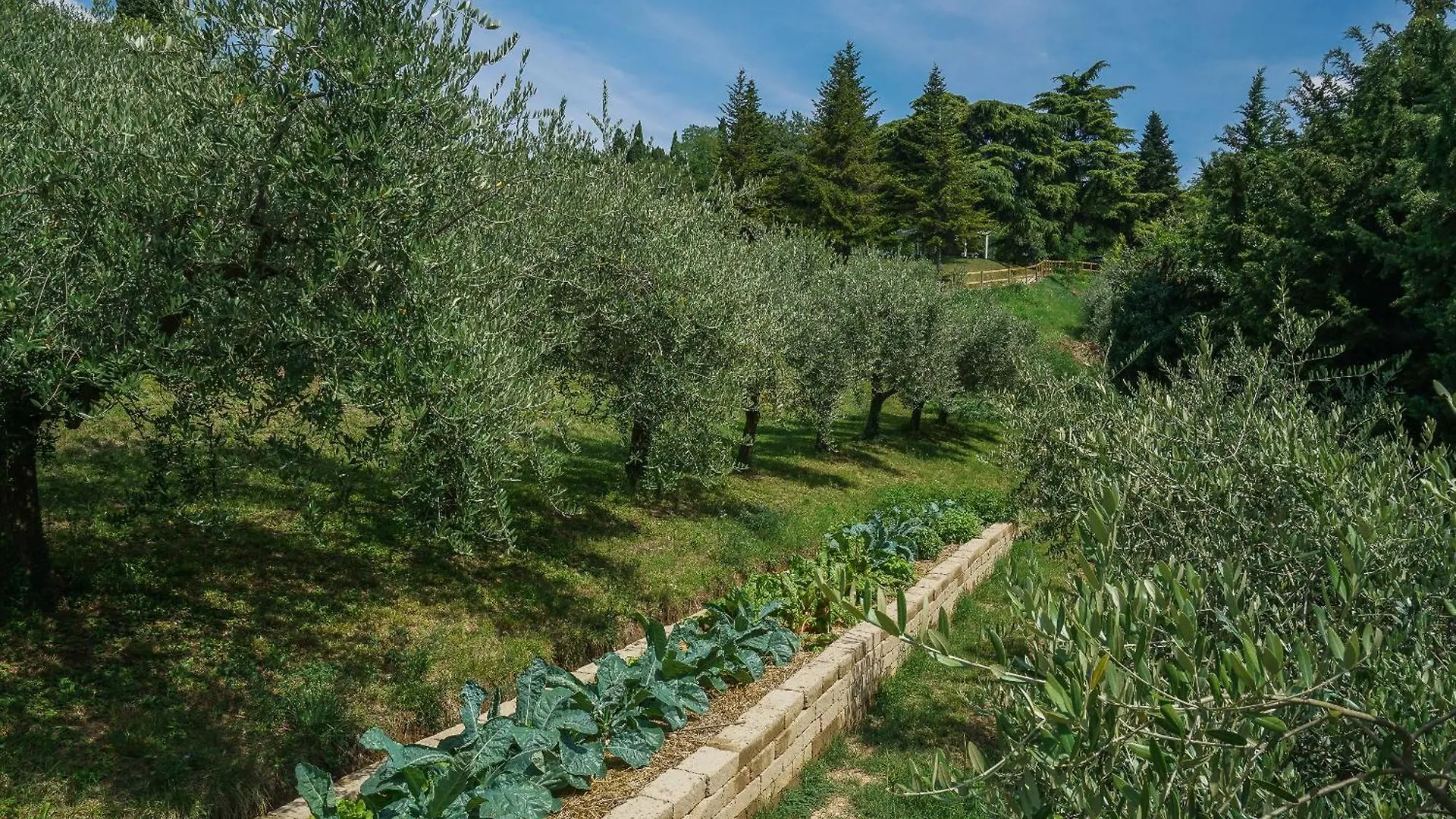 Hotel Ca Toresele Relais Osteria Garden Verona