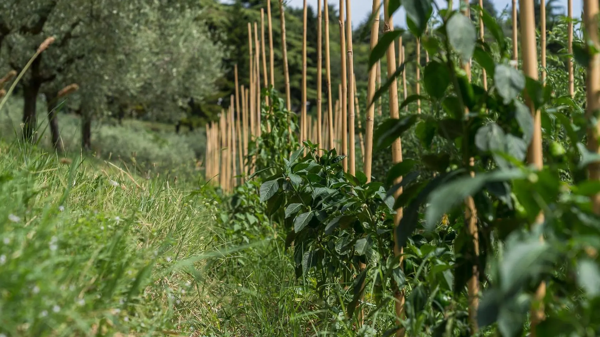 Ca Toresele Relais Osteria Garden Verona